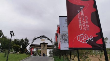 First-ever Grape and Wine Festival underway in Azerbaijan (PHOTO)