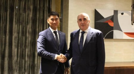 Elmar Mammadyarov meets with the Kyrgyz Foreign Minister Chingiz Aydarbekov