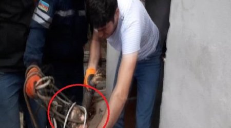 Azərbaycanda tualet quyusuna düşən uşaq belə xilas edildi - VİDEO