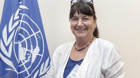 UN special rapporteur to visit Azerbaijan