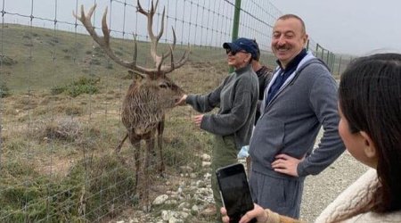 Prezident ailəsinin istirahətdən səmimi FOTOLARI