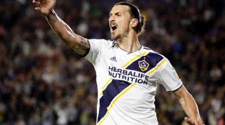 “Qvardiola məşqçi kimi fenomendir, insan kimi isə...” - İbrahimoviç