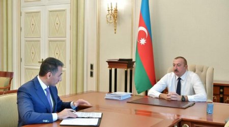 Prezident Rəşad Nəbiyevi qəbul etdi - FOTO