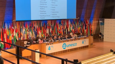 Anar Kərimova yüksək vəzifə verildi