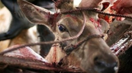 Viaqra belə hazırlanırmış: ŞOK GÖRÜNTÜLƏR – FOTOLAR (+18)