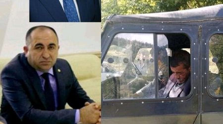 Gədəbəy meşələrinə qənim kəsilən məmurlar - VİDEO + FOTO