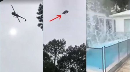 Milyonçunun hovuzuna helikopterdən heyvan atdılar – VİDEO