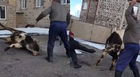 Ermənilərin vəhşiliyinin görüntüsü - (18+VİDEO)