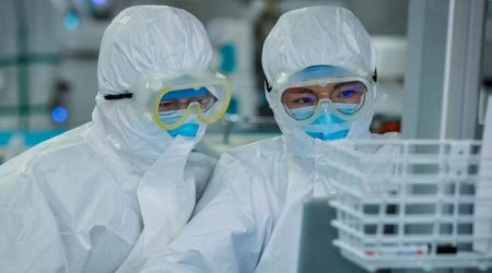 Havalar isinəndə koronavirus məhv olacaq? - Professordan açıqlama