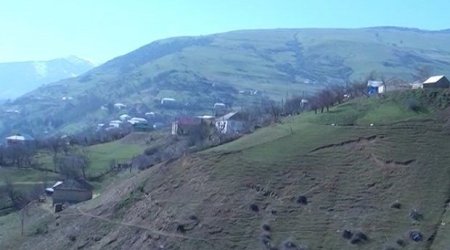 Azərbaycanda gül dərmək istəyən yeniyetmə canından oldu — VİDEO