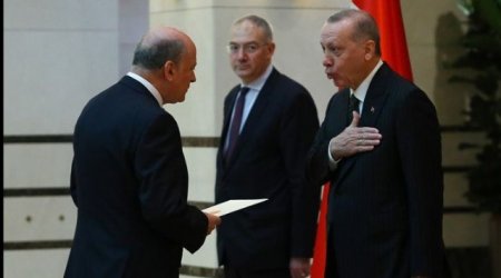 Səfir əllə görüşmək istədi, Ədoğan 