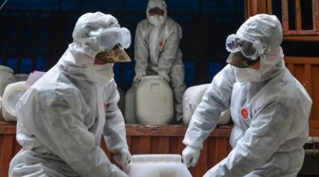 XƏBƏRDARLIQ! Azərbaycanda koronavirusa görə epidemioloji vəziyyət gərgindir - VİDEO