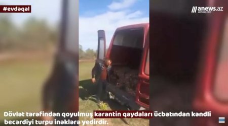 Koronavirusla bağlı qadağalar ücbatından müflis olmuş kəndlilərdən etiraz aksiyası - VİDEO