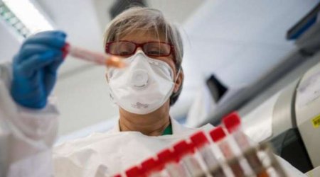 Azərbaycanda koronavirusun yox olacağı tarix açıqlandı