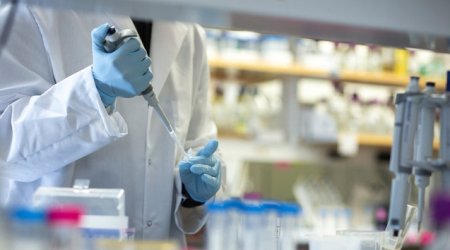 Bu meyvədə koronavirus tapıldı