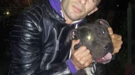 İtləri döyüşdürüb bir-birinə yedirirlər- DİN-dən AÇIQLAMA