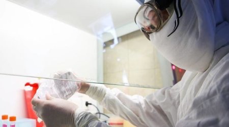 Azərbaycanda daha iki nəfər koronavirusdan öldü: Rekord yoluxma faktı - RƏSMİ + VİDEO