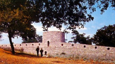 Şuşa inauqurasiyası, mən, qarğalar…