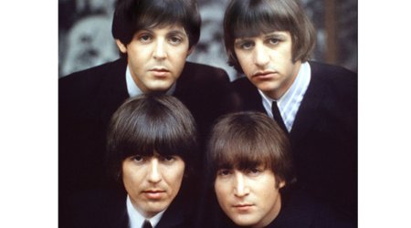 Голландские ученые назвали новый вид жука в честь группы The Beatles