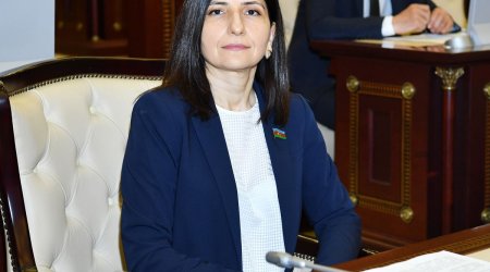 Sevil Mikayılova: Azərbaycan Prezidentinin apardığı siyasətin əsasında vətəndaşların təhlükəsizliyi və sağlamlığı dayanır (VİDEO)