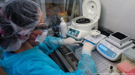 В Азербайджане 318 новых больных коронавирусом
