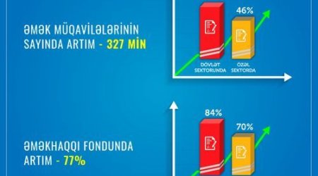 За последние 3 года число трудовых договоров увеличилось на 327 тысяч