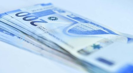 Шахмар Мовсумов о возмещении ущерба пострадавшим от пандемии предпринимателям