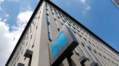 ОПЕК увеличила добычу нефти в январе