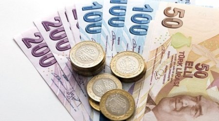 Турецкая лира рухнула на 17%