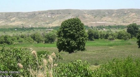 Qubadlının Tinli kəndindən görüntülər