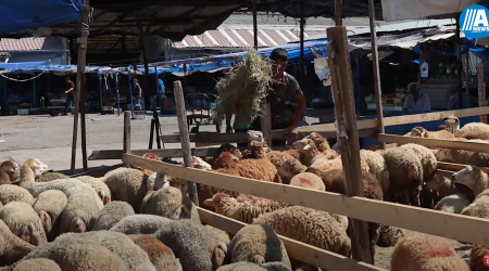 Bakıda Qurban bayramı ovqatı - Video