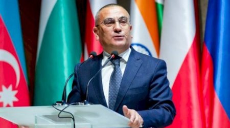 Həbs olunan icra başçısı YAP-dan çıxarıldı