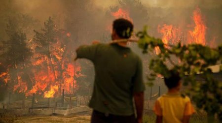 Türkiyədə yanğınlarla bağlı son vəziyyət açıqlandı