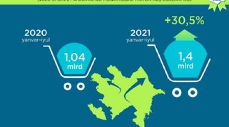 Azərbaycanda qeyri-neft sektoru 30,5 % artıb