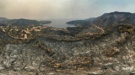 Bodrum və Milas qara rəngə boyandı: Ürək dağlayan görüntülər (VİDEO/ FOTO)