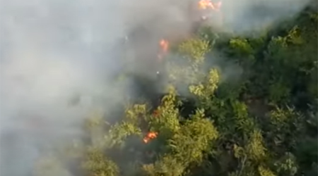 Qəbələdə külək yanğını gücləndirib, iki helikopter cəlb edilib - Video