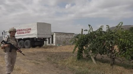 Rusiya sülhməramlıları ermənilərə üzüm yığımında kömək  edir