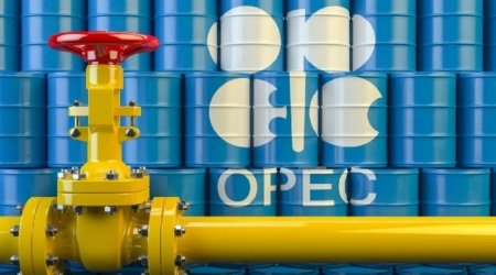 ОПЕК: Нефтяная отрасль должна быть частью адаптации к изменениям климата