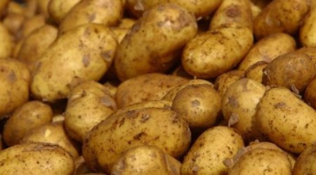 Азербайджан увеличил экспорт картофеля в Россию