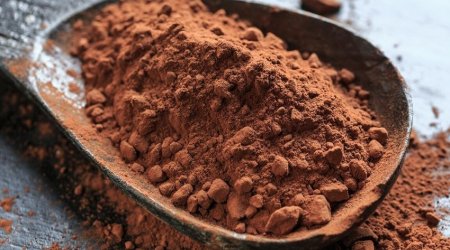 Азербайджан увеличил доходы от экспорта какао на 24%
