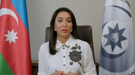Azerbaijani ombudsperson appeals to international organizations on Armenia's actions