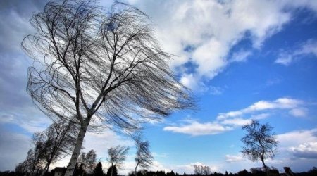 Strong wind expected in Azerbaijan on October 22