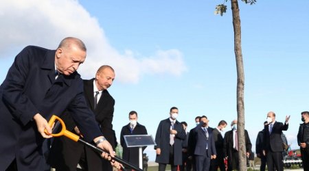 Azerbaijani and Turkish leaders plant trees in Zangilan