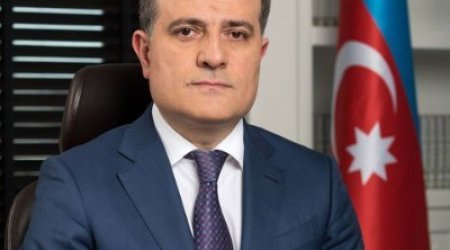 Azerbaijani FM calls for more intensive fight against pandemic