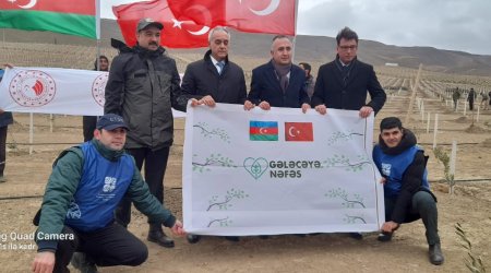 Azərbaycan və Türkiyə daha bir  həmrəylik aksiyası keçirdi - FOTOLAR