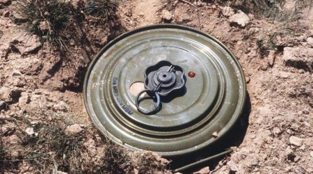 Employee of Azerbaijani power grid operator hit by mine in Lachin