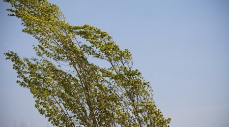 Strong wind expected tomorrow