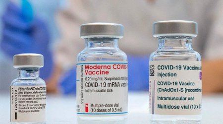 “Moderna” yeni ştama qarşı da peyvənd hazırlayır