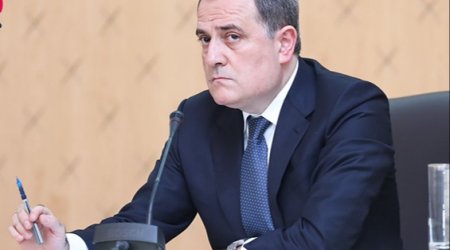 “Ermənistanın təqdim etdiyi mina xəritələrinin dəqiqlik faizi çox aşağıdır”