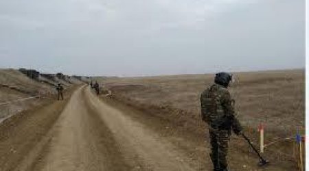 38 mines detected in liberated areas